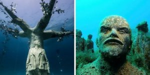 15 фотографий подводных объектов, которые станут настоящей неожиданностью для дайвера (16 фото)