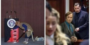 30 странных и забавных фотографий, которые повышают градус абсурда (31 фото)