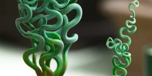 Подборка необычных растений, которые будто бы привезли с другой планеты (16 фото)