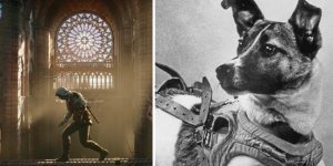 25 interesting facts from the series “Today I learned” (26 photos)