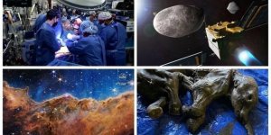 10 самых удивительных научных открытий 2022 года (12 фото + 4 видео)