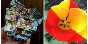 Жизнь как чудо: 25 крутых и необычных вещей вокруг нас (26 фото)