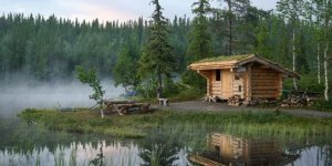 Bathhouse in the forest (31 photos)
