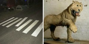 30 фото из серии «У тебя была всего одна задача!» (31 фото)