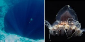 10 incredible facts about the ocean (9 photos + 2 videos)