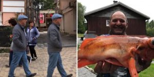 17 photos that will make you rub your eyes (18 photos)