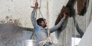 Люди, яким начхати на техніку безпеки (15 фото)