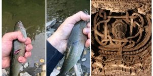 15 увлекательных фотографий редких предметов и мест (16 фото)