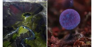 15 щасливчиків, які знайшли голку у стозі сіна (16 фото)