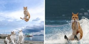 Підбірка кумедних фотожаб (14 фото)