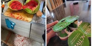 Люди, яким сьогодні дуже не пощастило (23 фото)