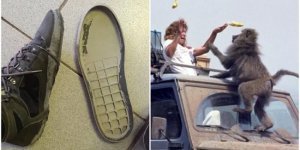 20+ случаев, когда людей накрыли неприятности на ровном месте (30 фото)