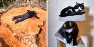 45 увлекательных фотосравнений из самых разных областей жизни (46 фото)