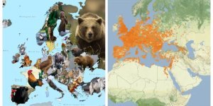 30+ интересных карт, которые расширят ваши представления о мире (34 фото)