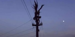 Фотографії із серії "Що тут відбувається?" (15 фото)