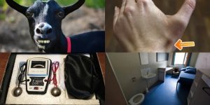 «Тестер любви», грабитель-козёл с чёрной магией и другие интересные факты и истории (9 фото)