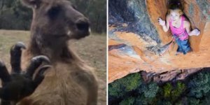 15 шоковых изображений, которые повысят ваш уровень адреналина (16 фото)