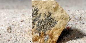 Дендрити: загадки візерунків на камінні (5 фото)