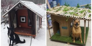 Будиночки підвищеної комфортності для найкращих друзів (25 фото)