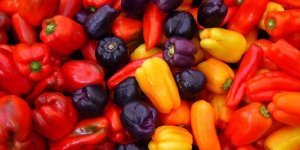 Why bell pepper? (2 photos)