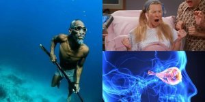 Крутые и малоизвестные факты о человеческом теле (15 фото)