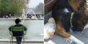 14 вещей, которые удивили туристов в Париже (15 фото)
