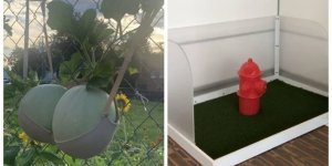 15 умных решений от бытовых гениев (16 фото)