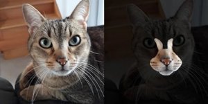 30+ фотографий, доказывающих, что наш мир - удивительное место (36 фото)