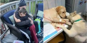 20+ зворушливих кадрів із життя, які поселять добро у серці (30 фото)