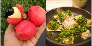 Блюда, которые могут убивать (10 фото)