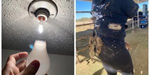 20 ситуацій, в яких врятує лише почуття гумору (21 фото)