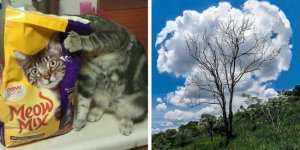 30 классных фото, которые заставляют взглянуть на мир под другим углом (31 фото)