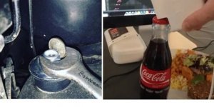 Полезные советы для дома, для семьи (18 фото)