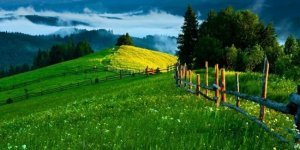 Ukrainian Carpathians (41 photos)