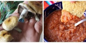 25 случаев, когда точно нужен специалист (26 фото)