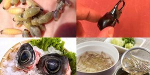 Самые ужасные блюда Японии: когда лучше есть с закрытыми глазами (16 фото)