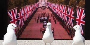 Звірячі фото (20 фото)