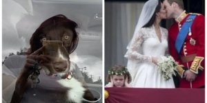 Фотографии, на которых есть скрытые секреты (18 фото)