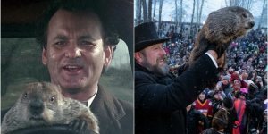 Чому День Сурка такий популярний у США і як його відзначають (6 фото)