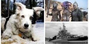 30 интересных фактов, о которых не расскажут в школе (31 фото)