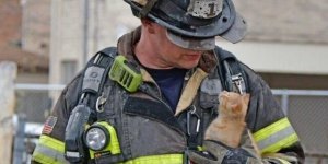 Пожарные и спасенные животинки (31 фото)