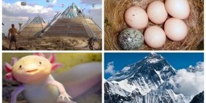 20 фактів для допитливих читачів (21 фото)