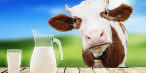 Молоко: несумісні поєднання (3 фото)