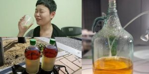 The story of how journalists bought wine infused with shit (15 photos)