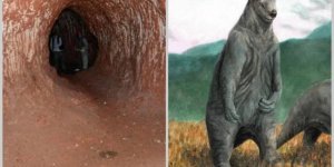 Huge prehistoric tunnels where giant sloths lived are being studied in Brazil (6 photos)