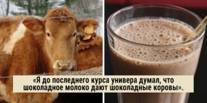 30 очевидних фактів, які люди дізналися вже у зрілому віці (31 фото)