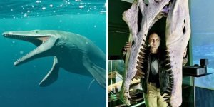 14 доказательств,  какими жуткими были доисторические монстры, чьи останки были  найдены в разных частях света (15 фото)