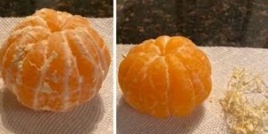 Будь-які незвичайні штуки, які вас здивують (16 фото)