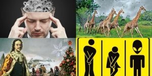 Время пополнять копилку знаний: любопытные факты из разных областей (18 фото)
