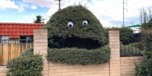 Creative people can turn anything into art (16 photos)